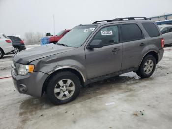  Salvage Ford Escape