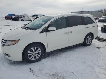  Salvage Honda Odyssey