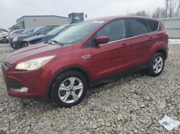  Salvage Ford Escape