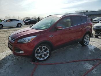  Salvage Ford Escape