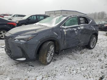  Salvage Lexus NX