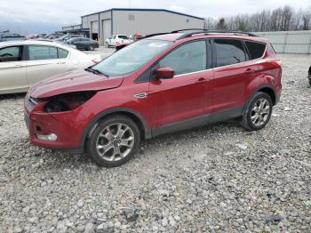  Salvage Ford Escape