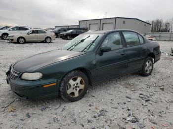  Salvage Chevrolet Malibu