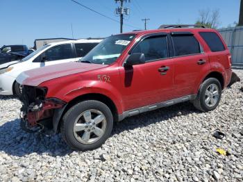  Salvage Ford Escape