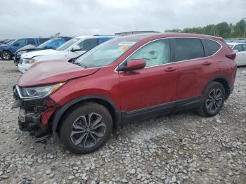 Salvage Honda Crv