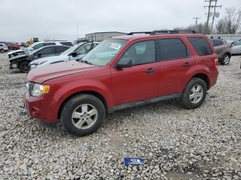  Salvage Ford Escape