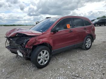  Salvage Honda Crv