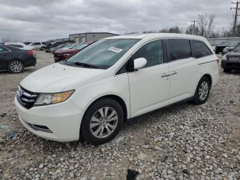  Salvage Honda Odyssey
