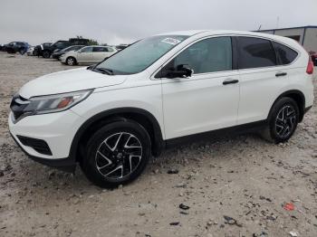  Salvage Honda Crv