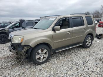  Salvage Honda Pilot