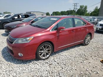  Salvage Lexus Hs