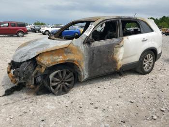  Salvage Kia Sorento
