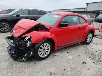  Salvage Volkswagen Beetle