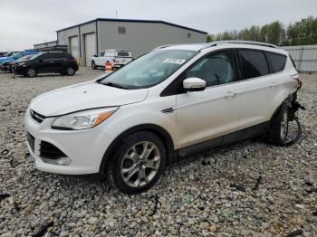  Salvage Ford Escape