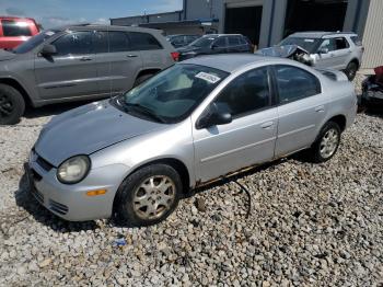  Salvage Dodge Neon