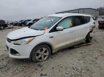  Salvage Ford Escape