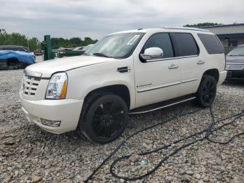  Salvage Cadillac Escalade