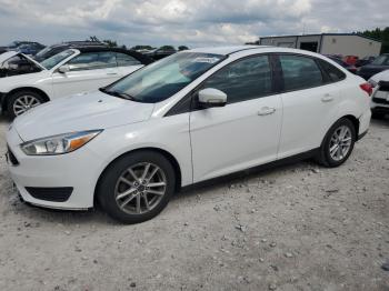  Salvage Ford Focus
