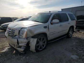  Salvage Cadillac Escalade