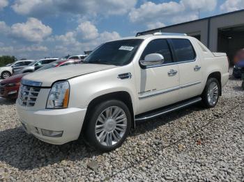  Salvage Cadillac Escalade