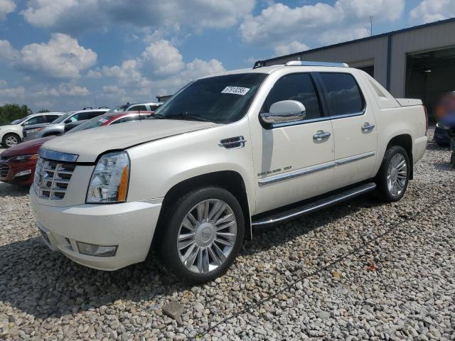  Salvage Cadillac Escalade