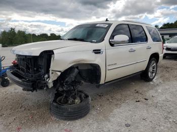  Salvage Cadillac Escalade