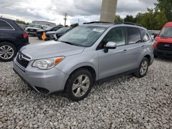  Salvage Subaru Forester