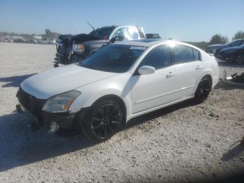  Salvage Nissan Maxima