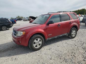  Salvage Ford Escape
