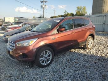  Salvage Ford Escape