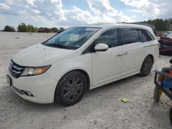  Salvage Honda Odyssey