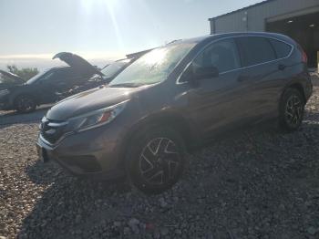  Salvage Honda Crv