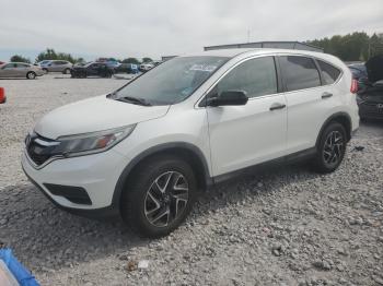  Salvage Honda Crv