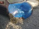 Honda Odyssey Ex Image 10