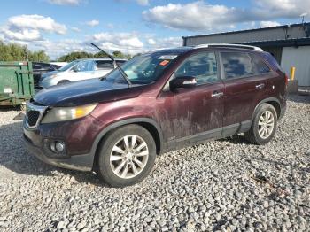  Salvage Kia Sorento