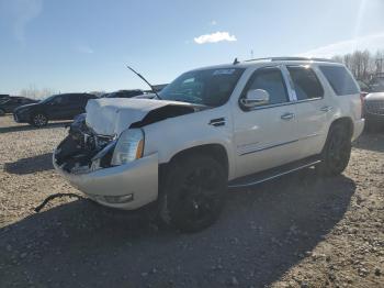  Salvage Cadillac Escalade