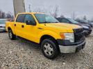 Ford F-150 Supercrew Image 10