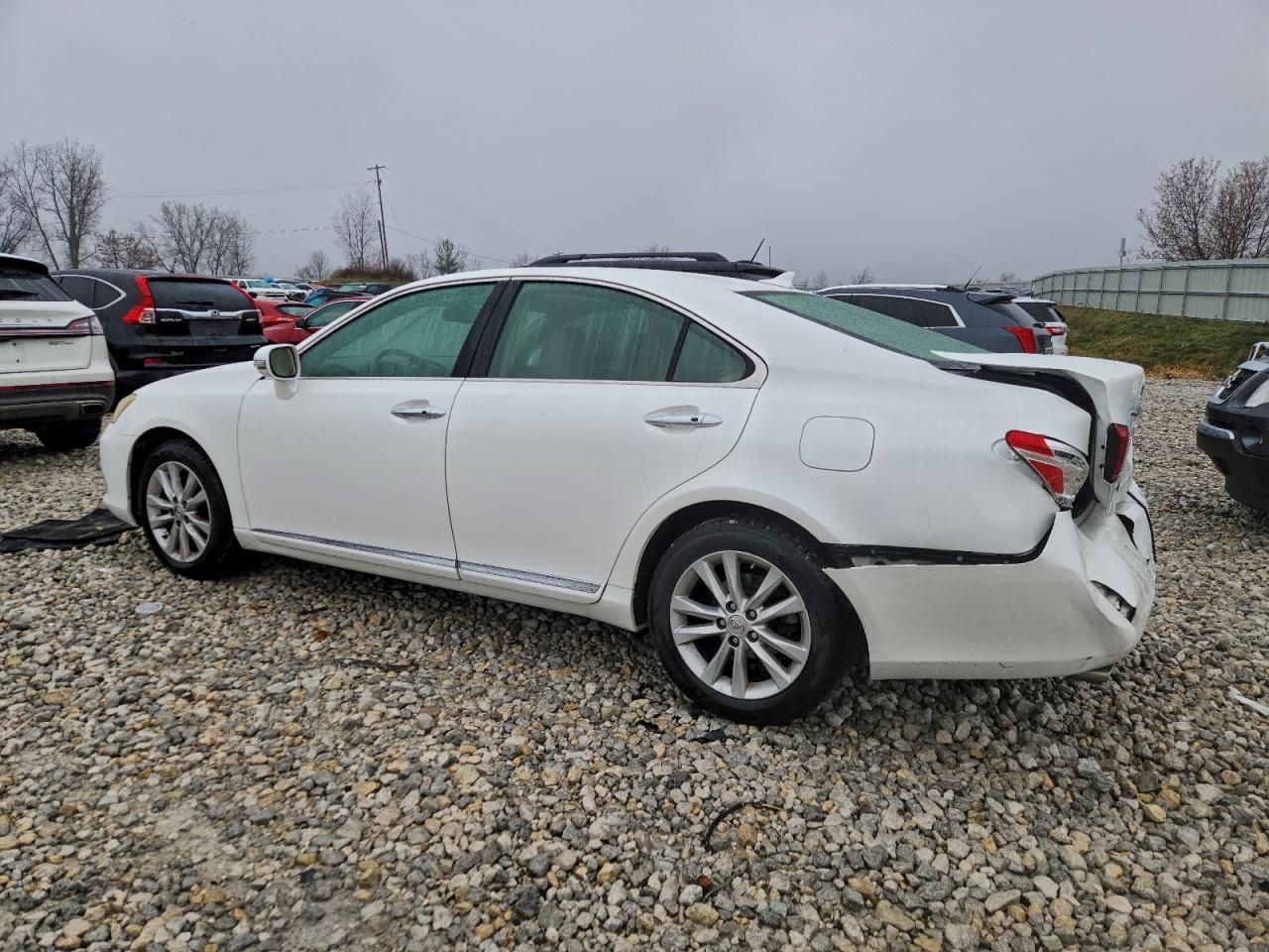 Lexus Es 350 Image 2