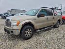 Ford F-150 Supercrew Image 1