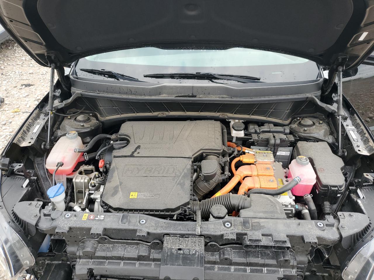 Kia Niro Ex Image 12