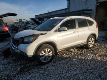  Salvage Honda Crv