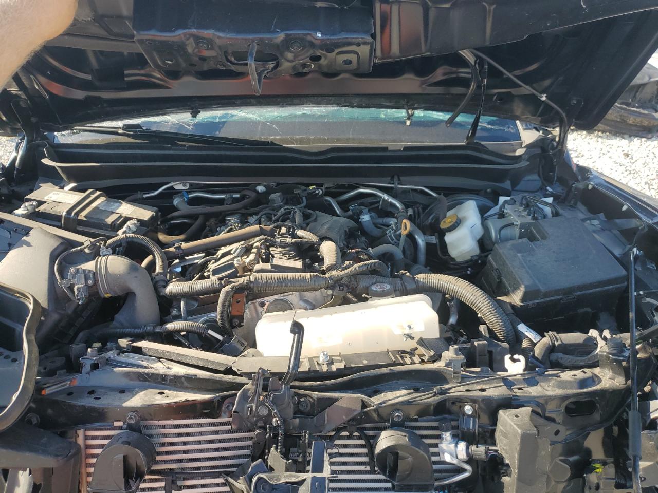 Toyota Tacoma Double Cab Image 4