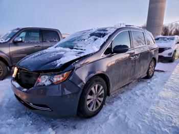  Salvage Honda Odyssey