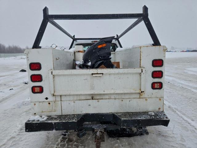 Ford F-250 Super Duty Image 10