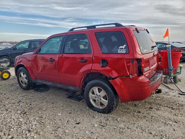 Ford Escape Xlt Image 13