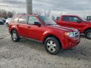 Ford Escape Xlt Image 9