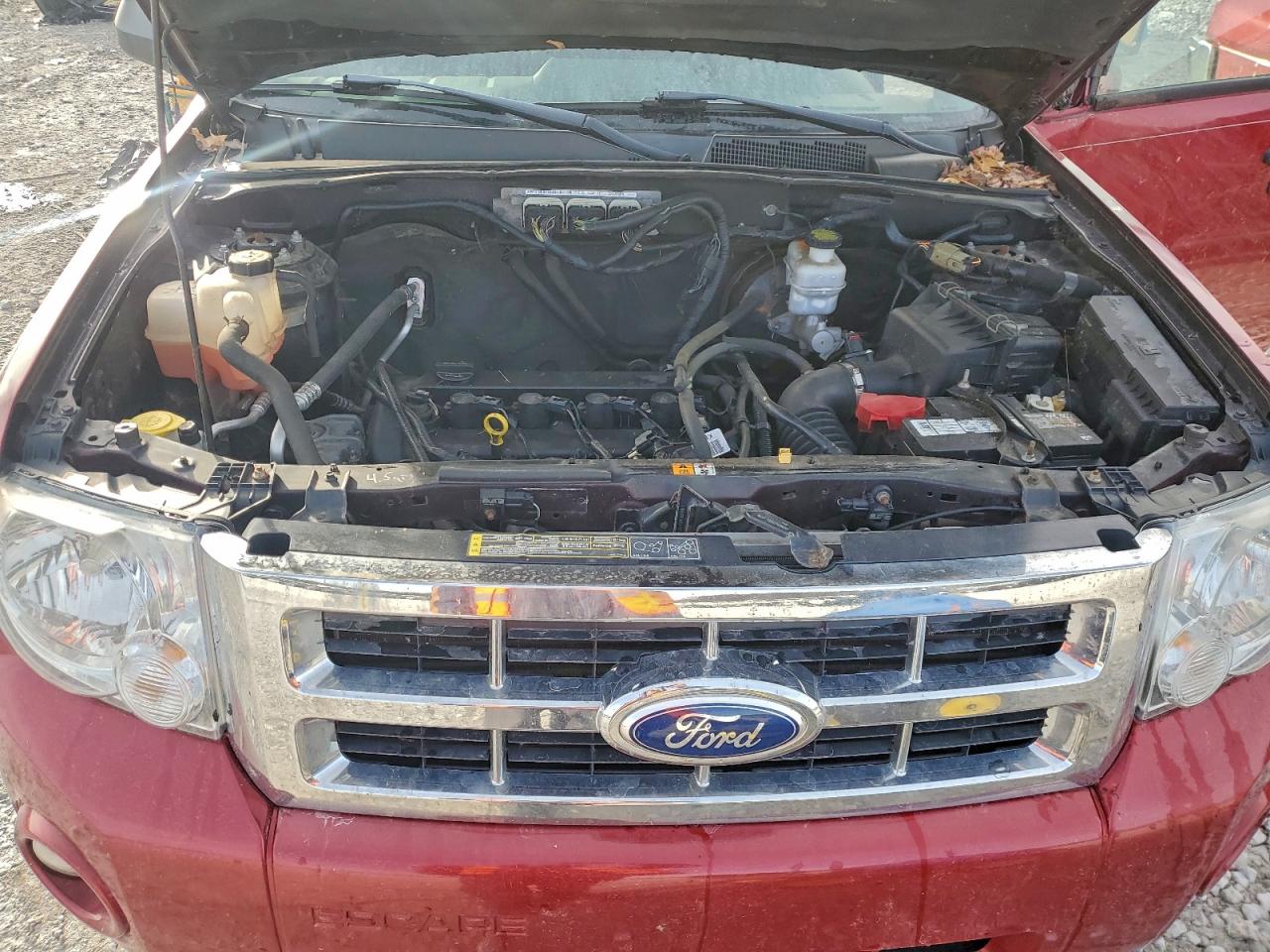 Ford Escape Xlt Image 8