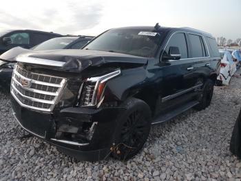  Salvage Cadillac Escalade