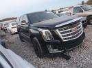 Cadillac Escalade Luxury Image 9