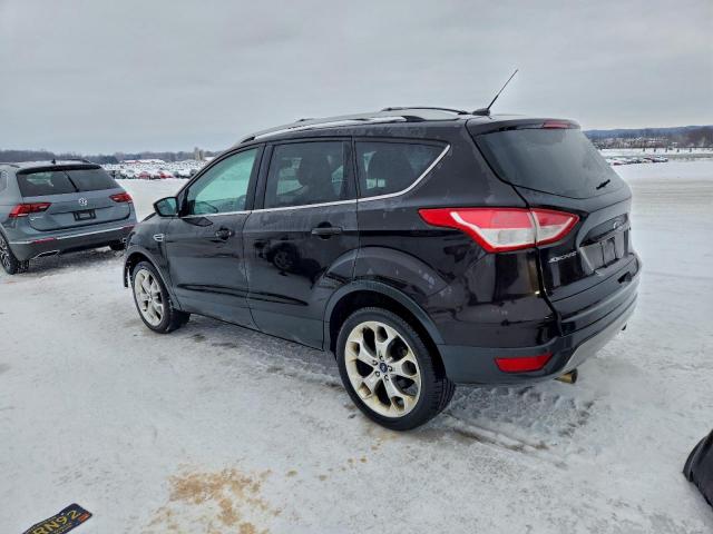 Ford Escape Titanium Image 14